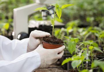 Featured image for post