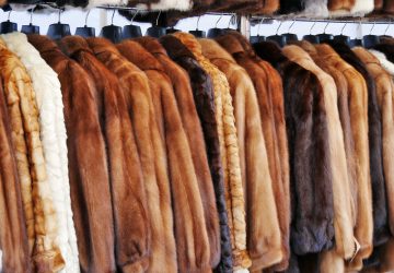 Featured image for post